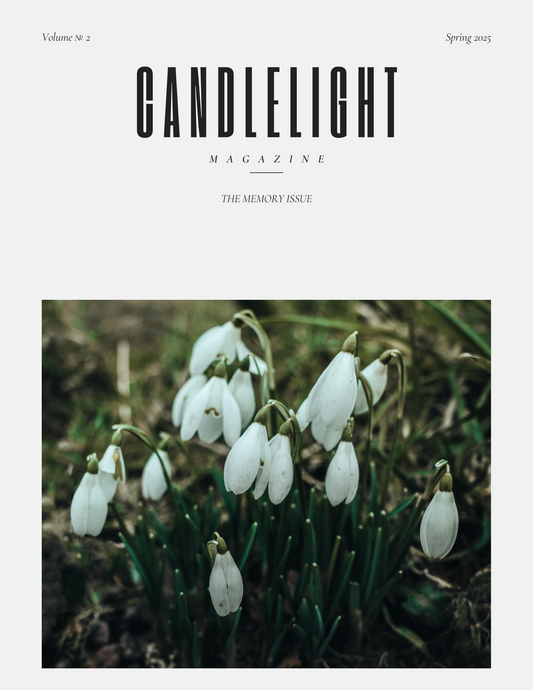 Magazine options for providers in grief and mental health care